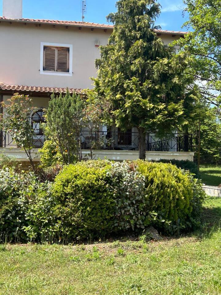 לפטוקריה Zeusplace Karia Villa Natura מראה חיצוני תמונה